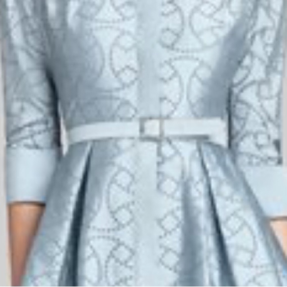 New! Taffeta Shirt Dress by Teri Jon by Rickie
Freeman - Picture 3 of 10